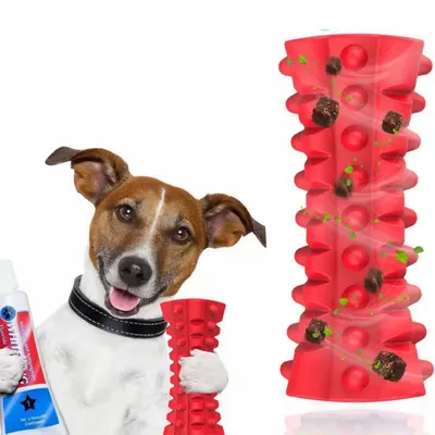 IntiMeg Jouet sonore pour chiens robuste