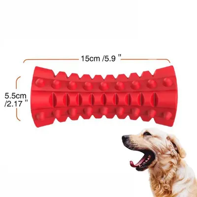IntiMeg Jouet sonore pour chiens robuste