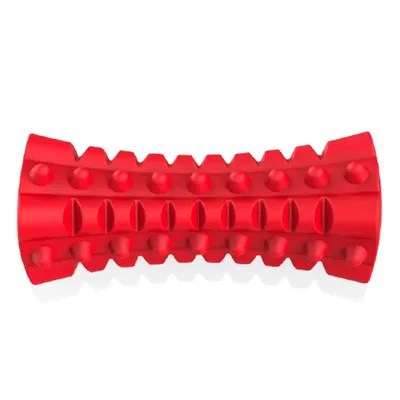 IntiMeg Jouet sonore pour chiens robuste
