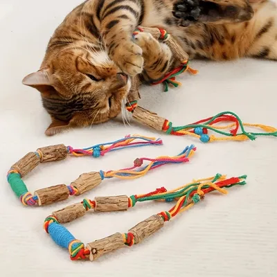 IntiMeg Laisse à mâcher pour chat