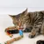 IntiMeg Laisse à mâcher pour chat