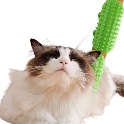 IntiMeg Jouet à gratter pour chat(2 pièces)