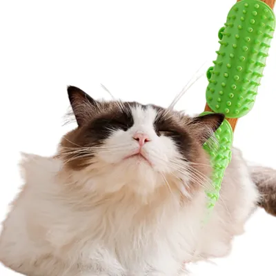 IntiMeg Juguete rascador para gatos (2 unidades)