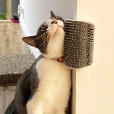 IntiMeg Juguete rascador para gatos