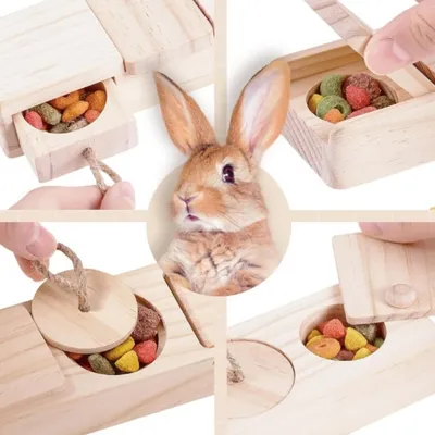 IntiMeg Jouets en bois pour lapins et autres petits animaux