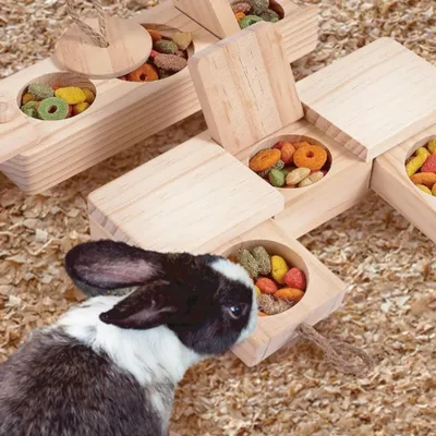 IntiMeg Jouets en bois pour lapins et autres petits animaux