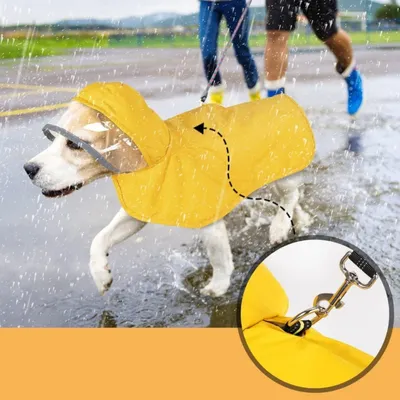 IntiMeg Reflektierender Regenmantel für Hunde IntiMeg Reflektierender Regenmantel für Hunde