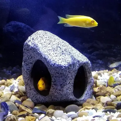 IntiMeg Pierre de paysage pour aquarium
