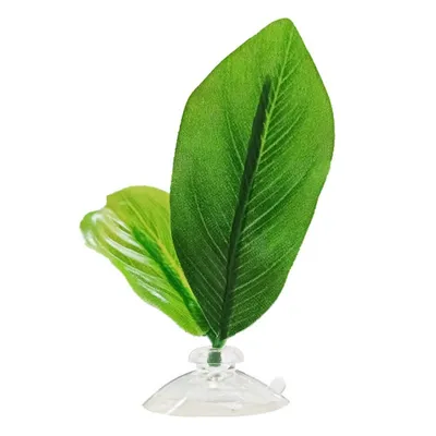 IntiMeg Cushions de feuille pour poissons (2 pcs)