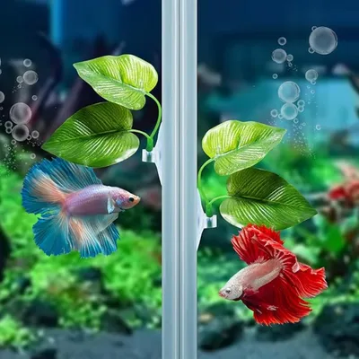 IntiMeg Cushions de feuille pour poissons (2 pcs)