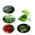 IntiMeg Cushions de feuille pour poissons (2 pcs) IntiMeg Cushions de feuille pour poissons (2 pcs)