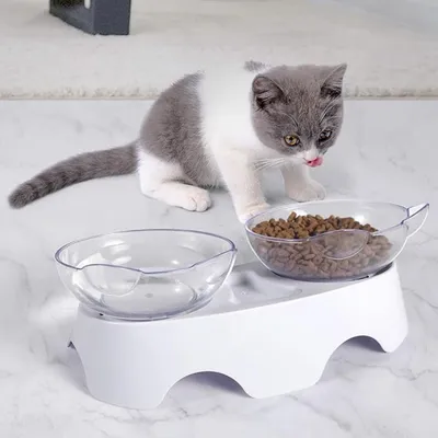 IntiMeg Gamelle surélevée pour chat