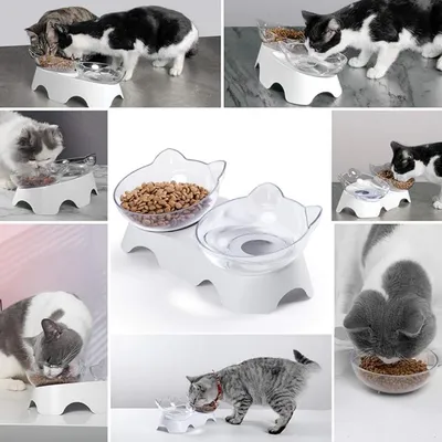 IntiMeg Gamelle surélevée pour chat