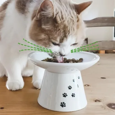 IntiMeg Bol à nourriture pour chat large