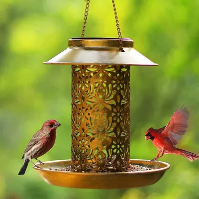 IntiMeg Mangeoire solaire pour oiseaux
