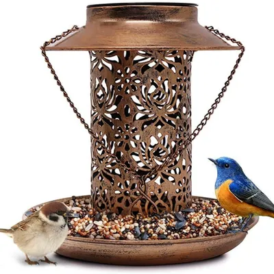 IntiMeg Mangeoire solaire pour oiseaux