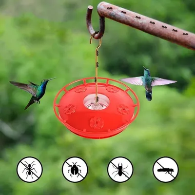 IntiMeg Nourrisseur pour colibris (2 pcs)