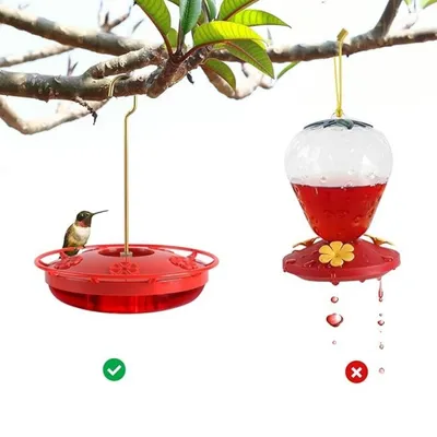 IntiMeg Nourrisseur pour colibris (2 pcs)