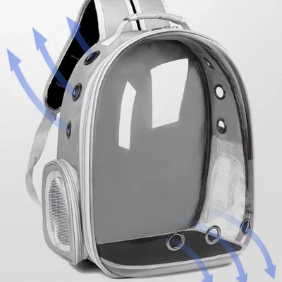 IntiMeg Sac à dos transparent pour chat