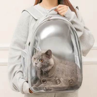 IntiMeg Sac à dos transparent pour chat