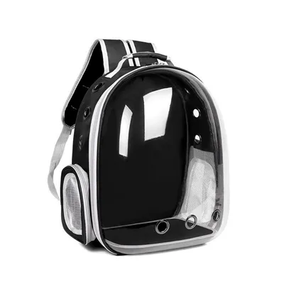 IntiMeg Sac à dos transparent pour chat