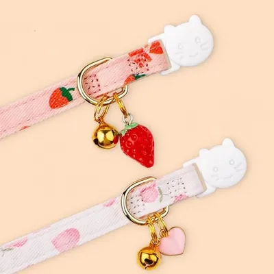 IntiMeg Lot de 2 colliers pour chat