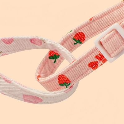 IntiMeg Juego de 2 collares para gatos