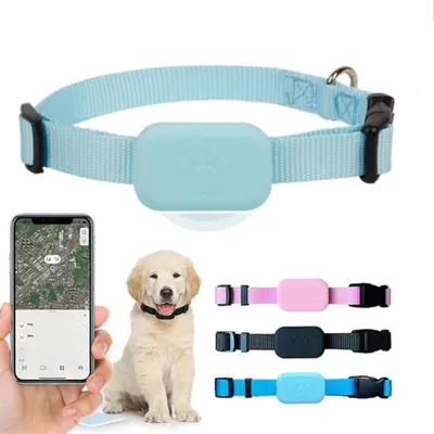 IntiMeg Collier GPS pour animaux de compagnie IntiMeg Collier GPS pour animaux de compagnie
