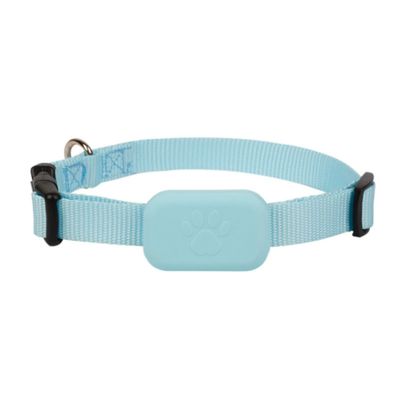 IntiMeg collar GPS para mascotas