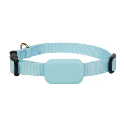 IntiMeg Collier GPS pour animaux de compagnie