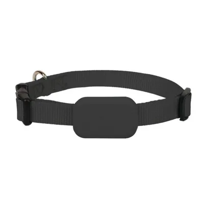 IntiMeg Collier GPS pour animaux de compagnie