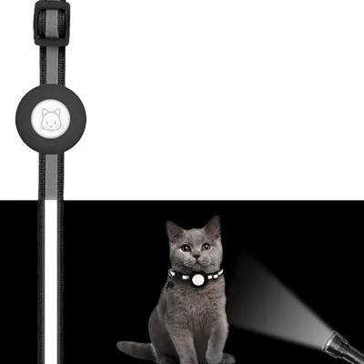 IntiMeg Collier pour chats avec AirTag support