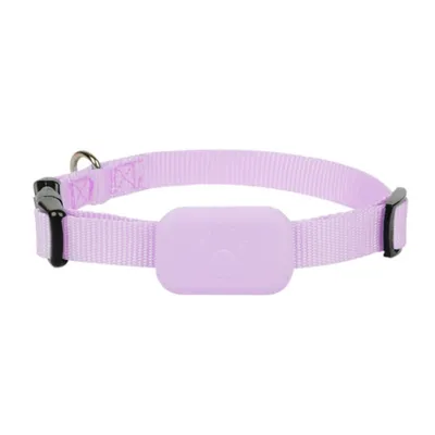 IntiMeg Collier GPS pour animaux de compagnie IntiMeg Collier GPS pour animaux de compagnie