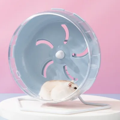 IntiMeg Roue de sport pour hamster