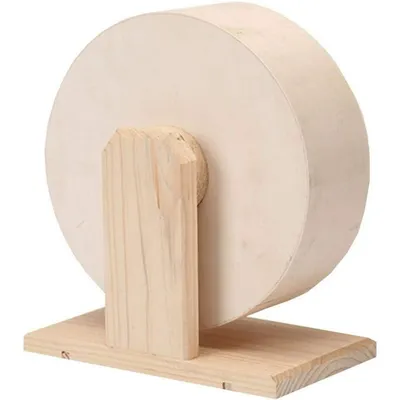 IntiMeg Roue silencieuse pour rongeurs