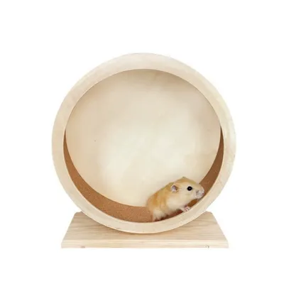 IntiMeg Roue silencieuse pour rongeurs