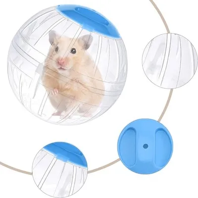 IntiMeg Balle de sport pour hamster transparent