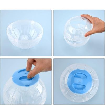 IntiMeg Balle de sport pour hamster transparent