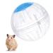 IntiMeg Balle de sport pour hamster transparent