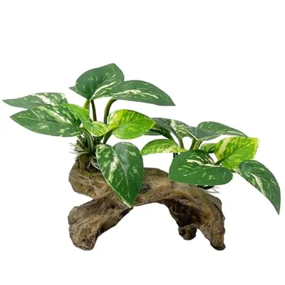 IntiMeg Décoration d'aquarium en racines d'arbres artificiels IntiMeg Décoration d'aquarium en racines d'arbres artificiels