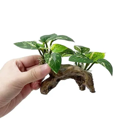 IntiMeg Décoration d'aquarium en racines d'arbres artificiels