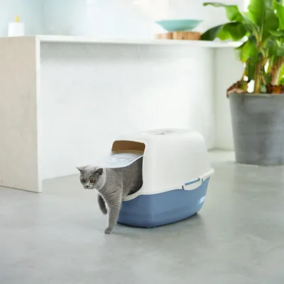 Rotho MyPet Bac à litière  BAILEY