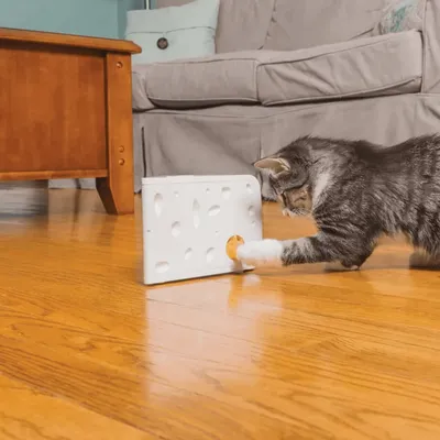 FroliCat Jouet automatique pour chat Cheese