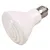 TRIXIE Chauffage infrarouge pour terrarium 75 x 100 mm 75 W TRIXIE Chauffage infrarouge pour terrarium 75 x 100 mm 75 W