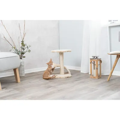 TRIXIE Grattoir pour chat Junior Vitoria 43 cm TRIXIE Grattoir pour chat Junior Vitoria 43 cm