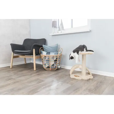 TRIXIE Grattoir pour chat Junior Vitoria 43 cm TRIXIE Grattoir pour chat Junior Vitoria 43 cm