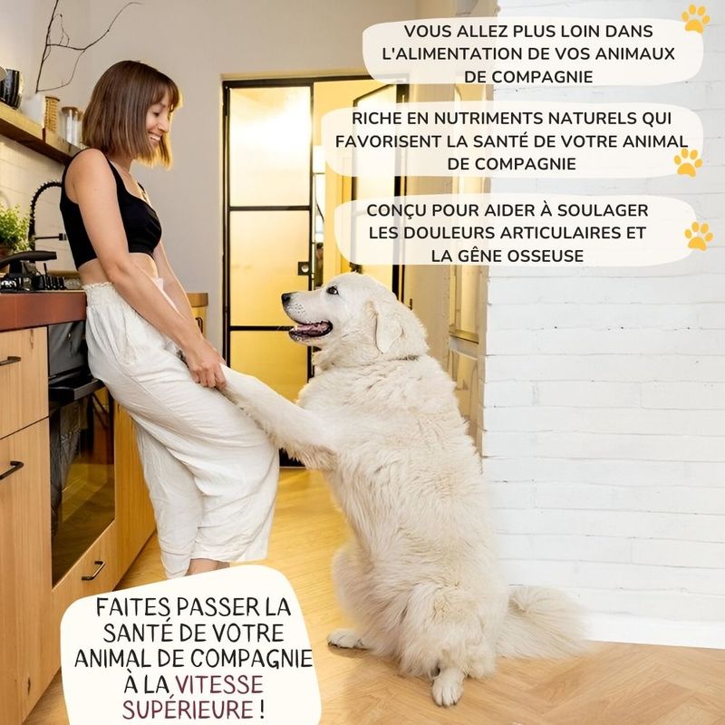 Lamina Care - Complement Alimentaire Chien Articulation