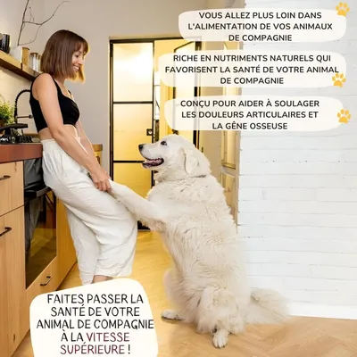 Lamina Care - Complement Alimentaire Chien Articulation