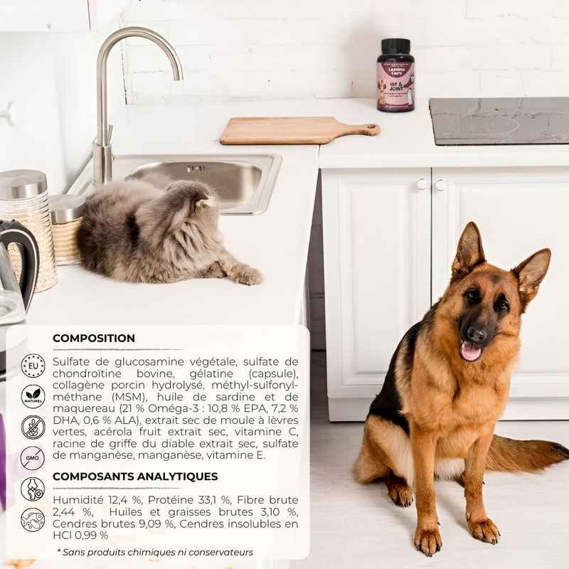Lamina Care - Complement Alimentaire Chien Articulation
