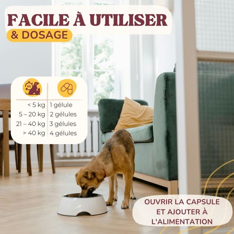 Lamina Care - Complement Alimentaire Chien Articulation